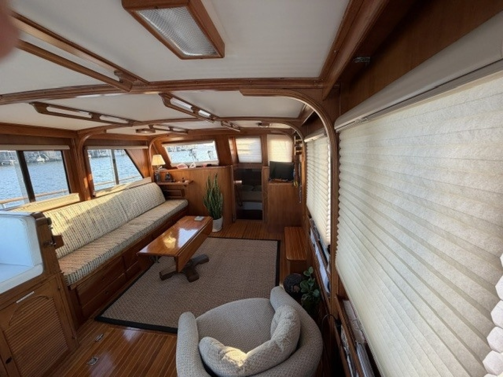 Albin 43