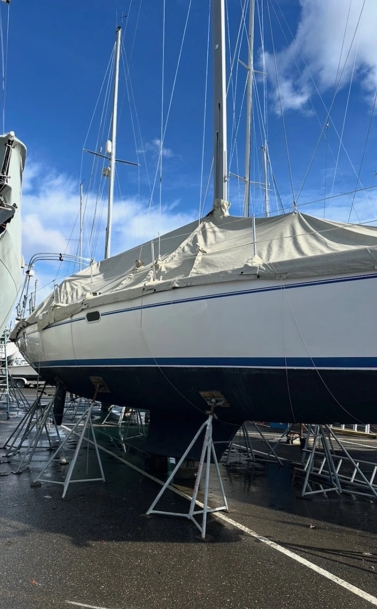 2005 Catalina 36 Mkll
