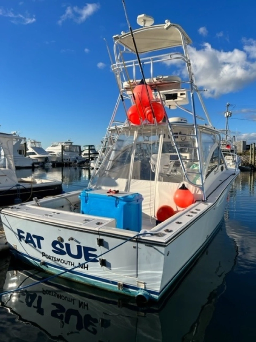 Transom View At Dock