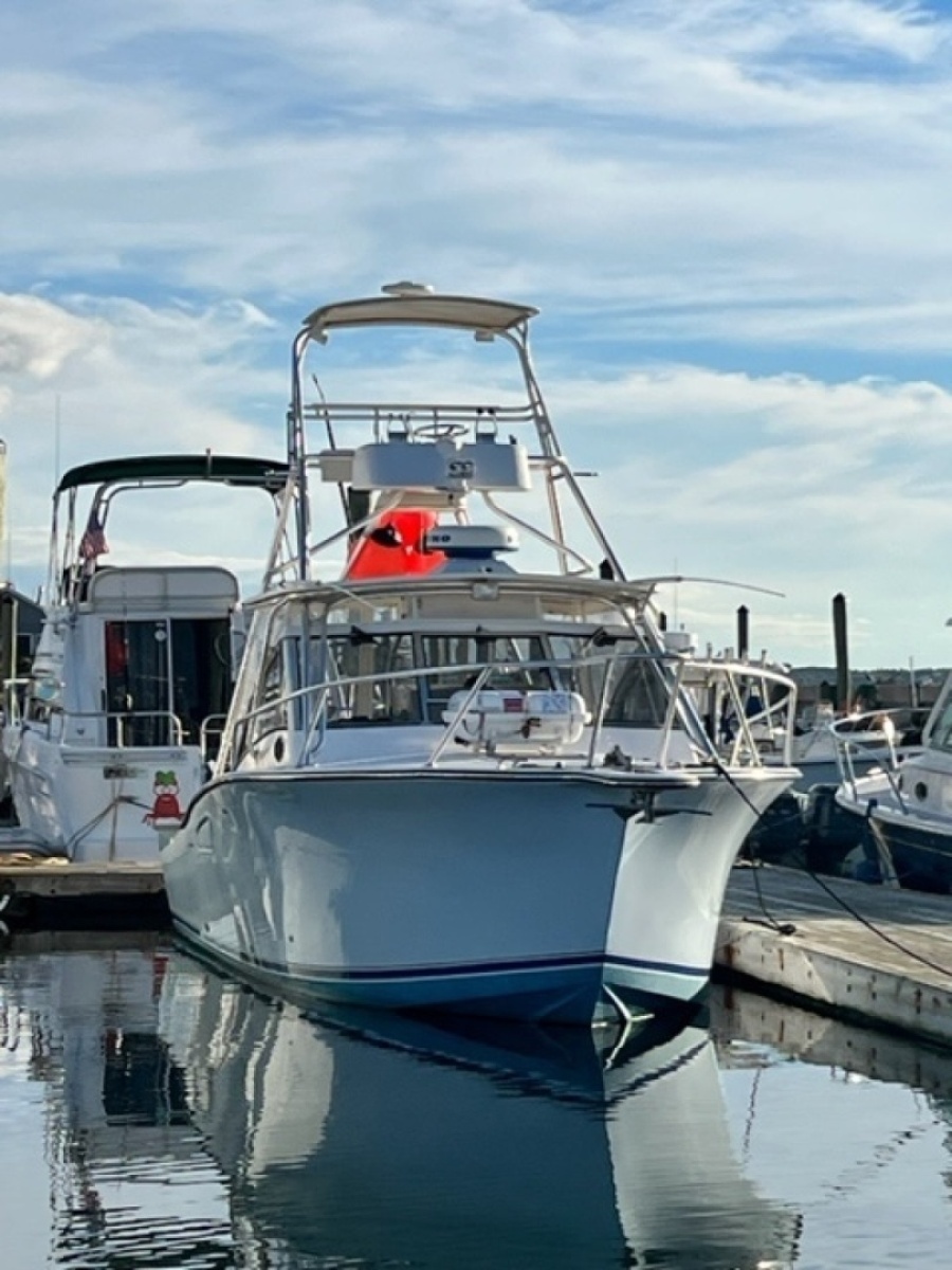 Bow View
