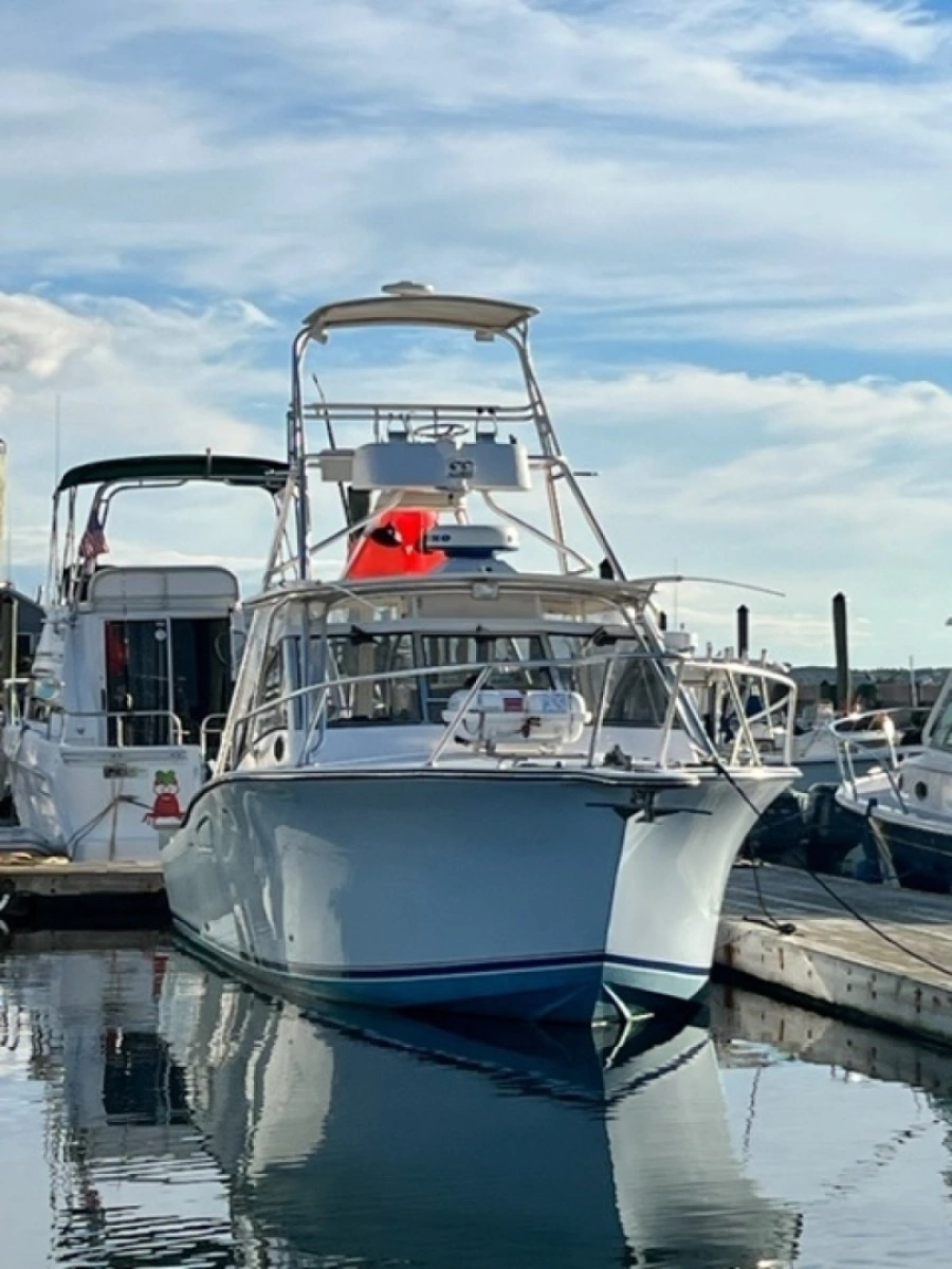 Bow View