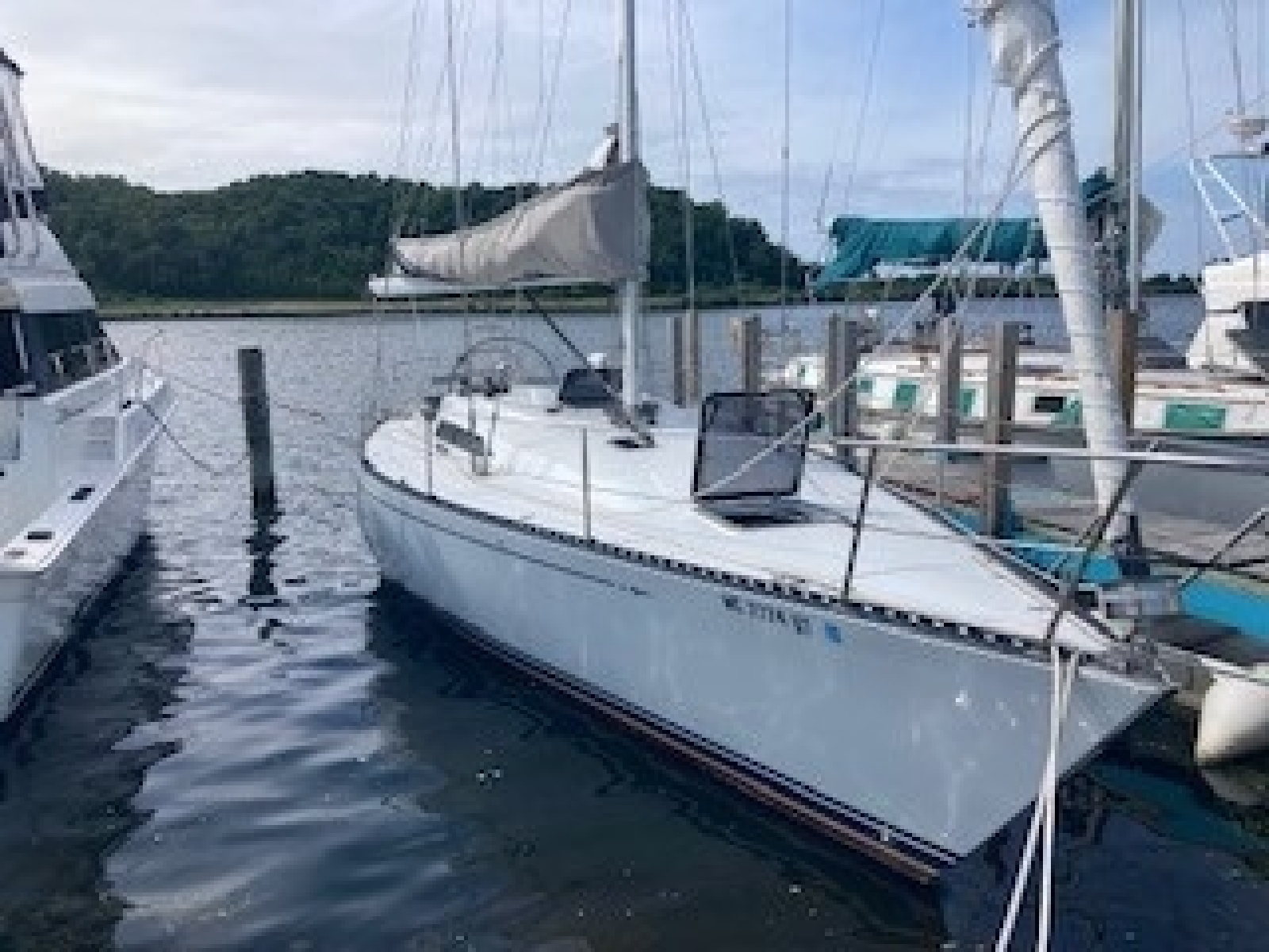 1983 C&C 41