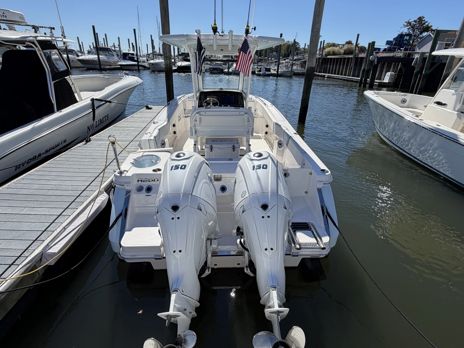2025 Robalo R250