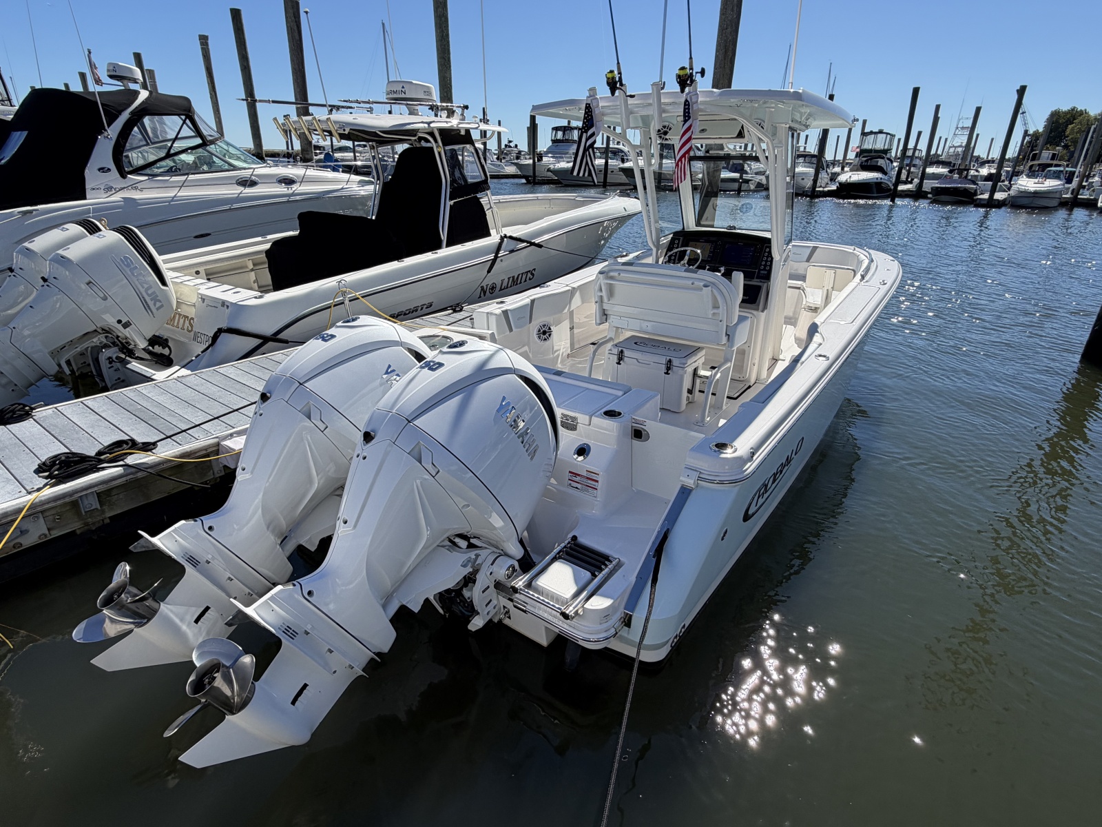 2025 Robalo R250