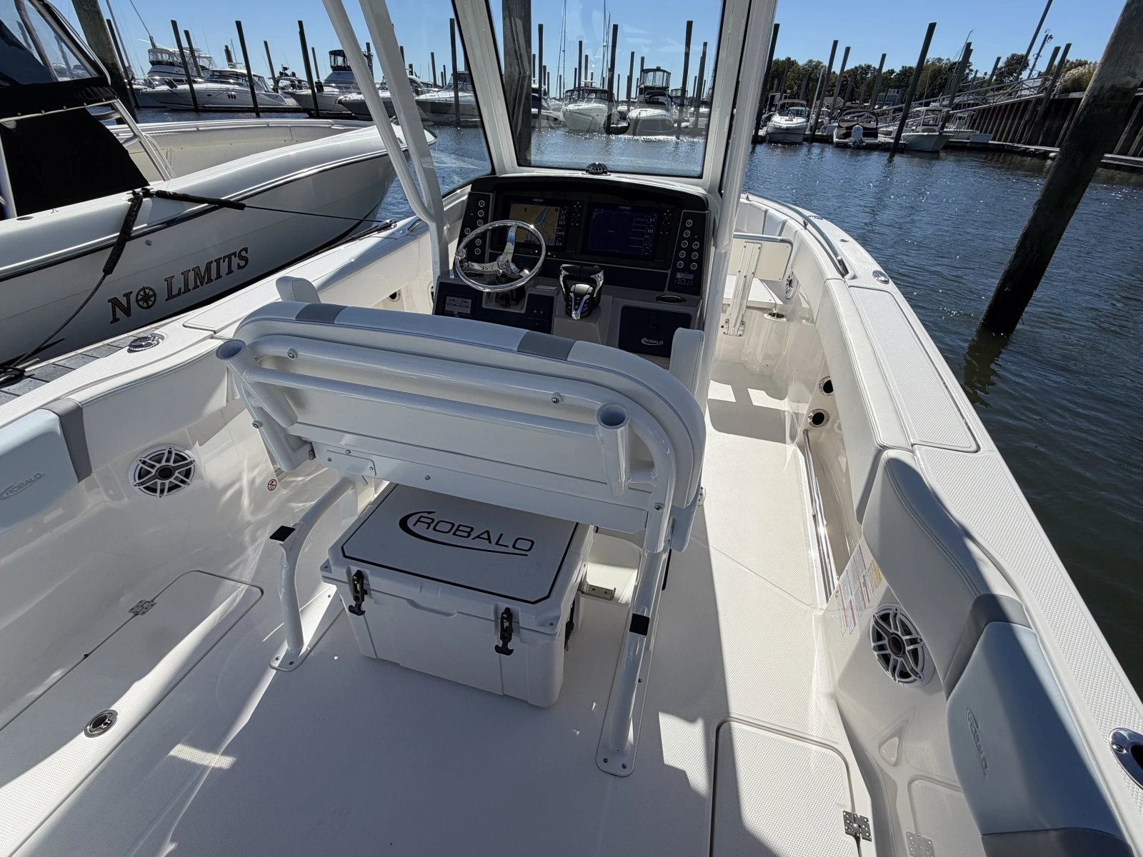 2025 Robalo R250