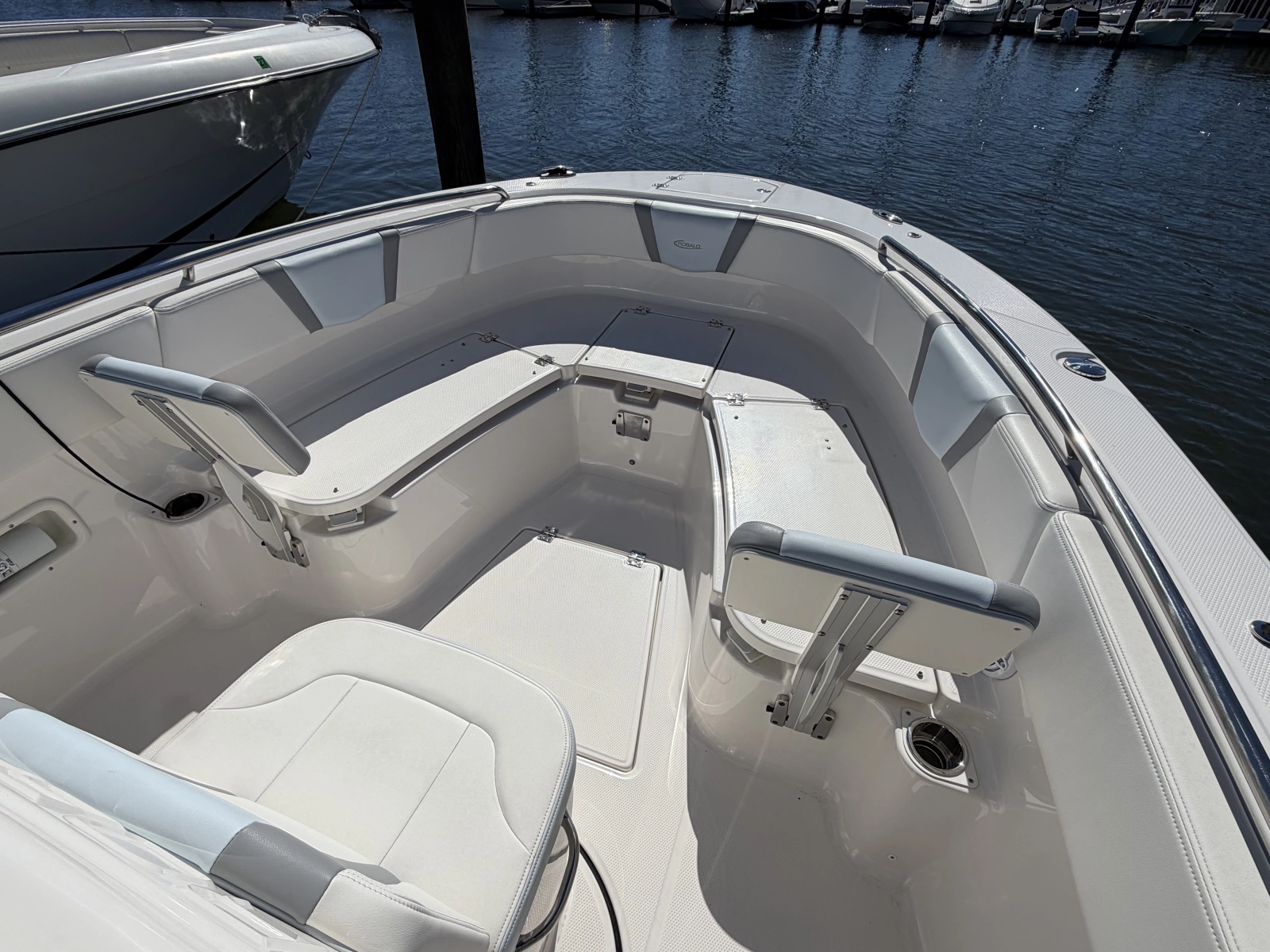 2025 Robalo R250