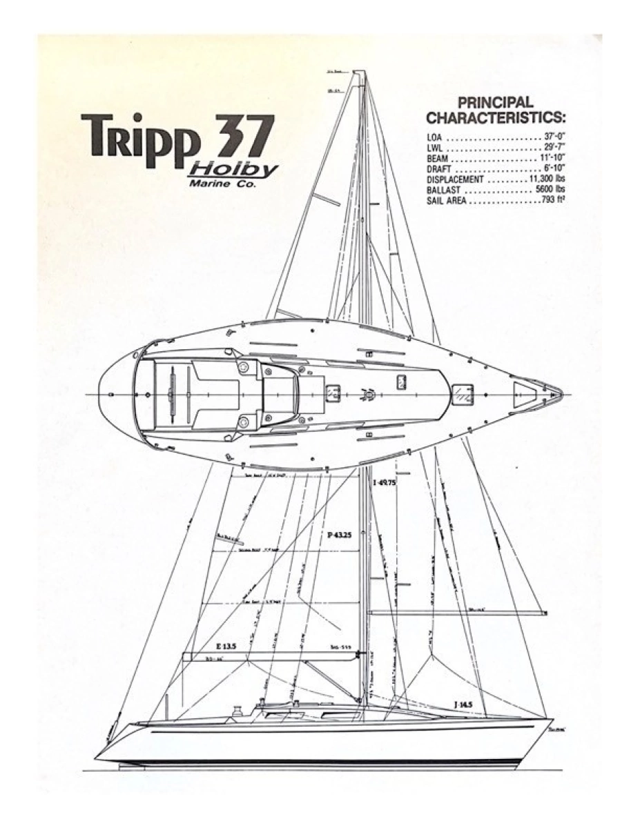 1986 Tripp 37