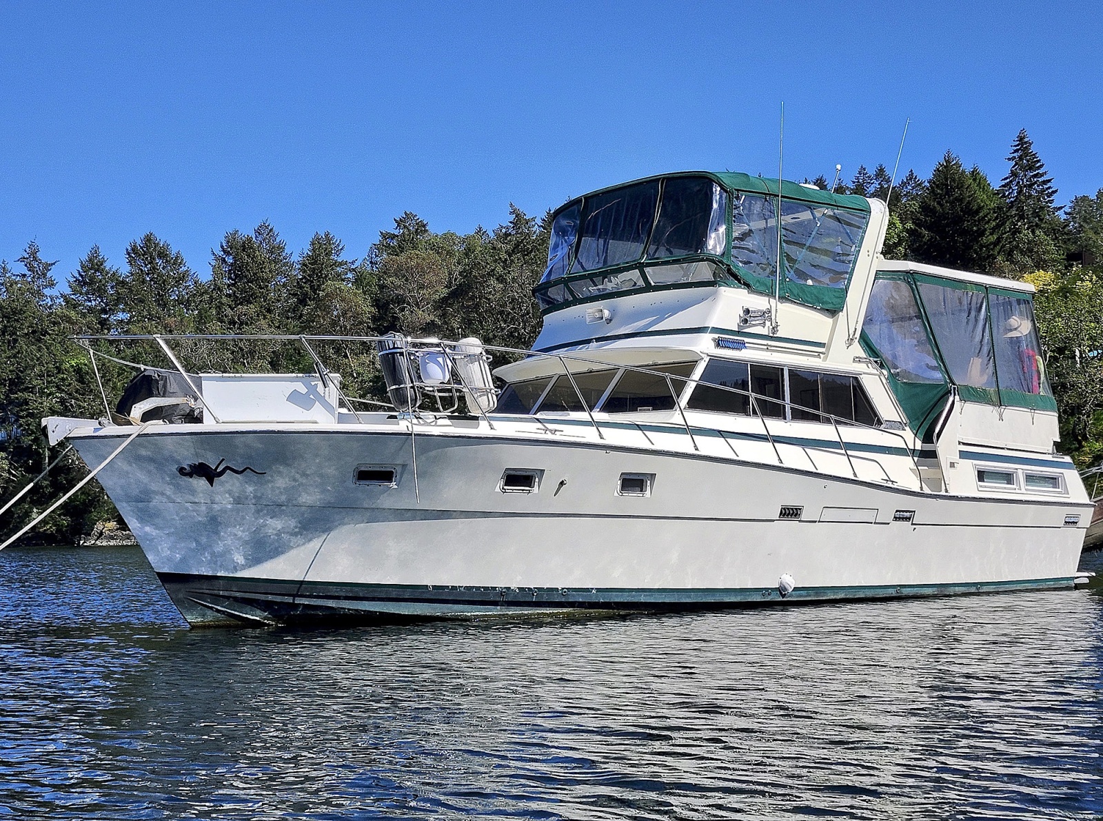 1977 Viking 43 DC