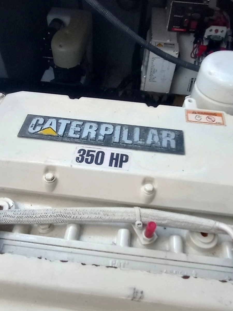 0005913706