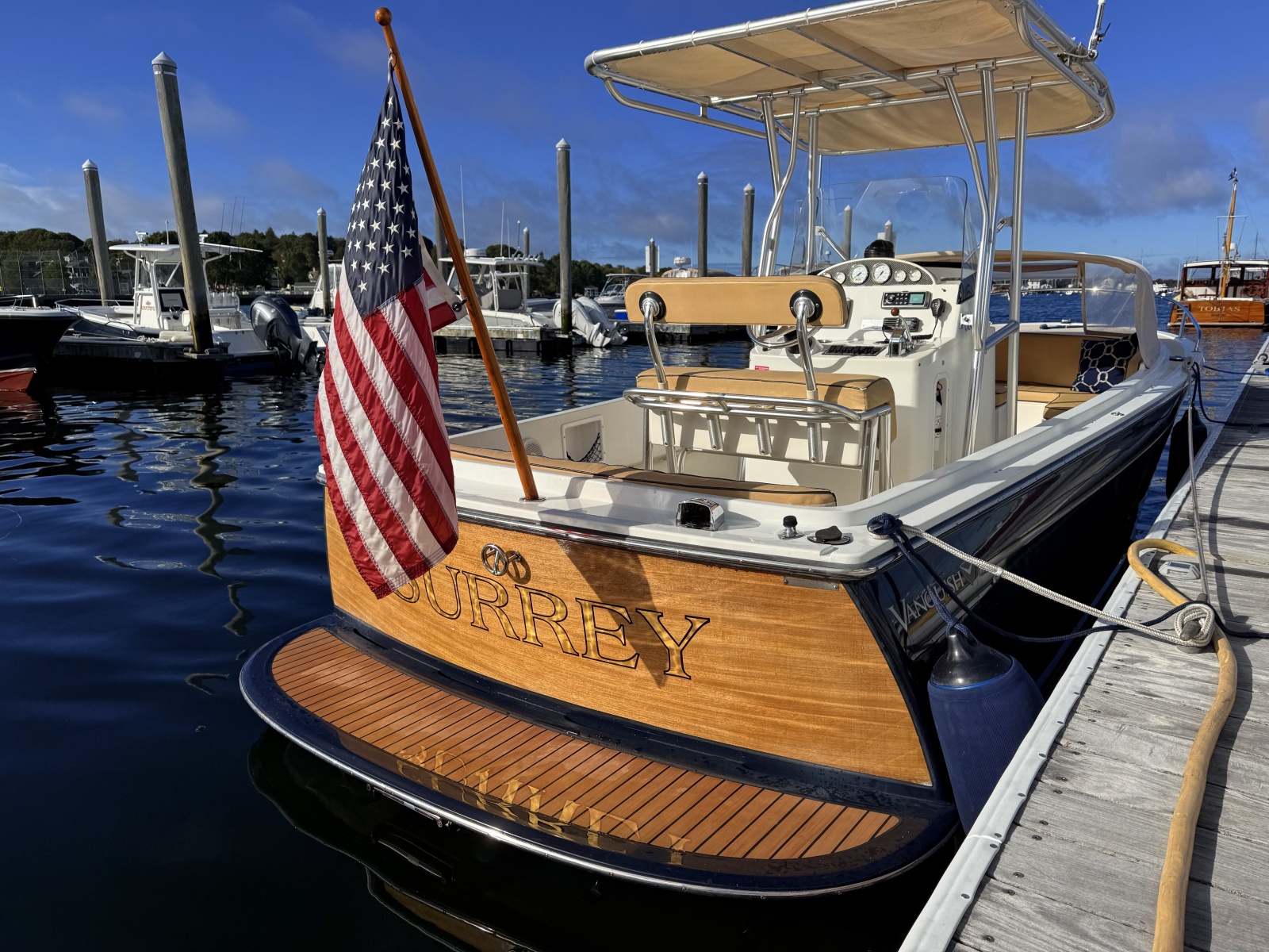 2010 Vanquish 24 Runabout