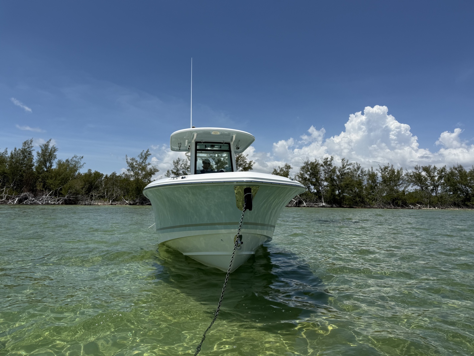 2019 Boston Whaler 280 Outrage — Salty Knots