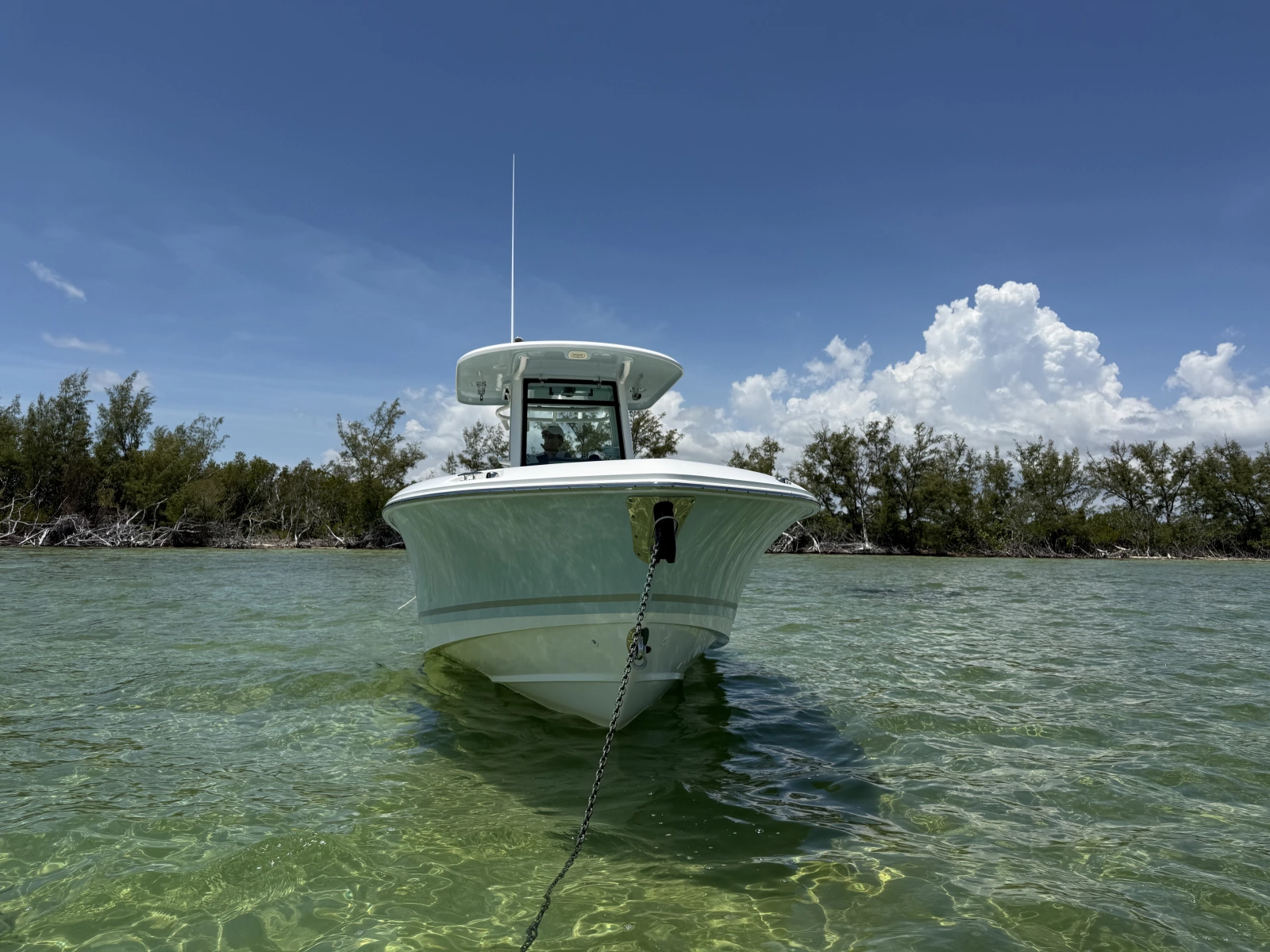 2019 Boston Whaler 280 Outrage