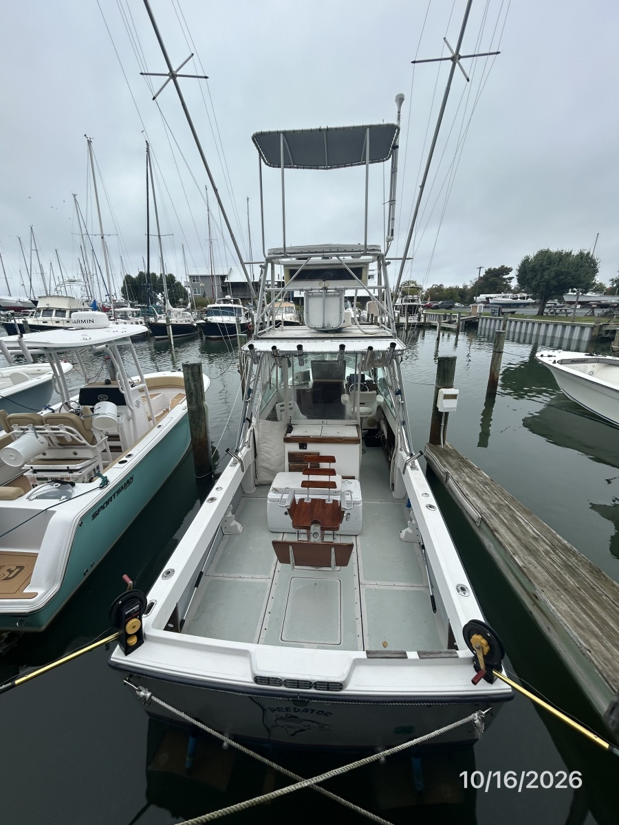 26' Shamrock aft profile