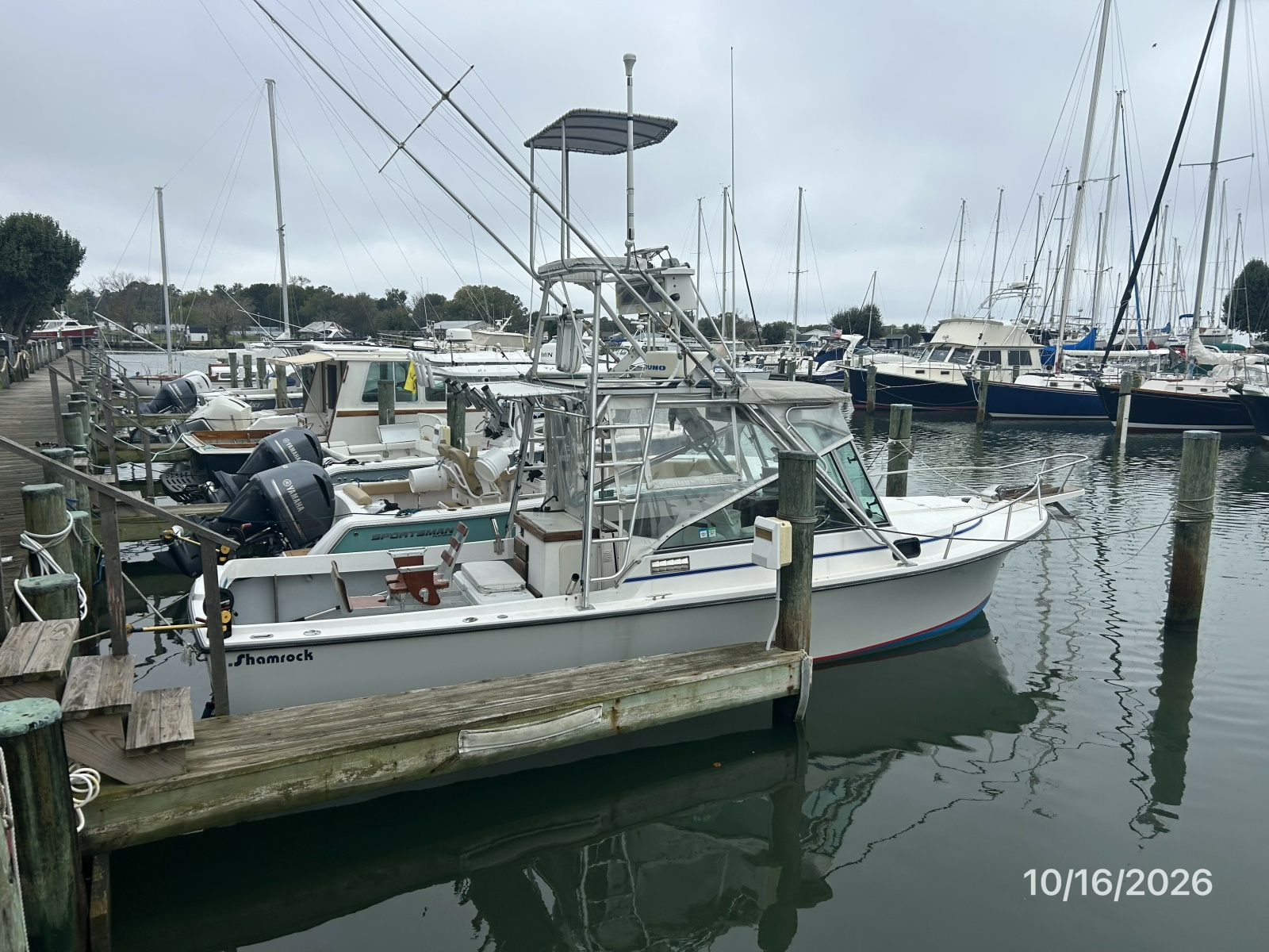 26' Shamrock starboard aft profile2