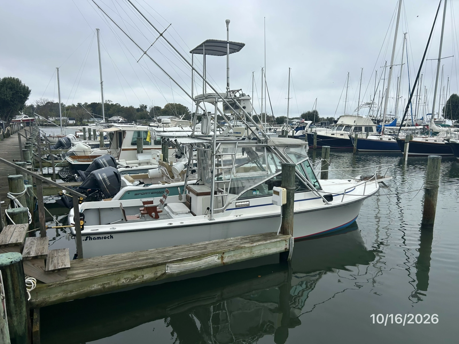 26' Shamrock starboard aft profile2