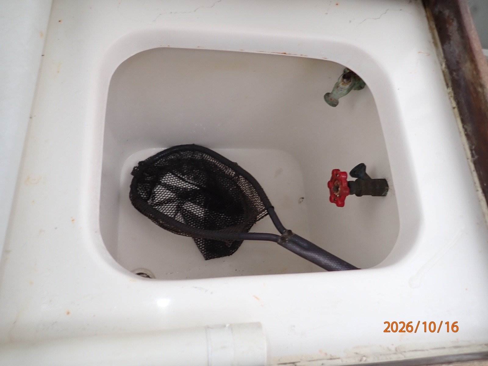 26' Shamrock cockpit livewell