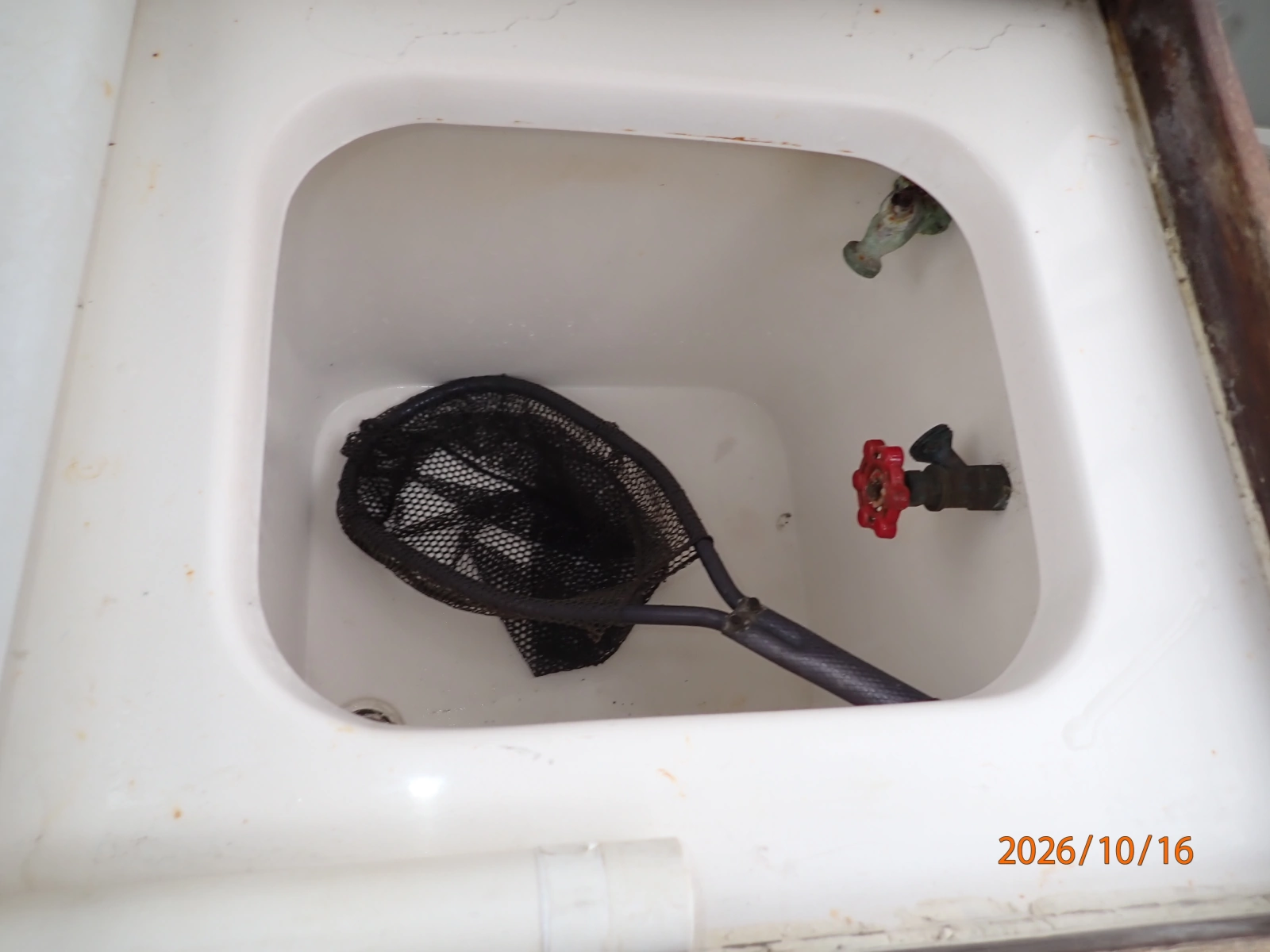 26' Shamrock cockpit livewell