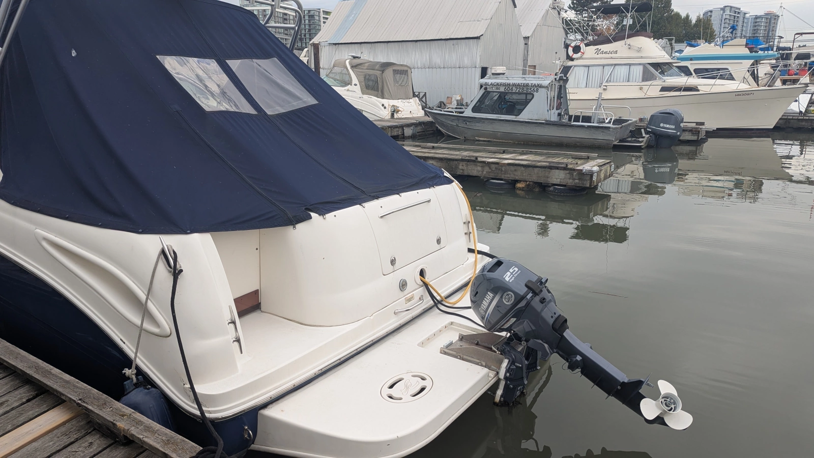 2004 Sea Ray 290 Amberjack