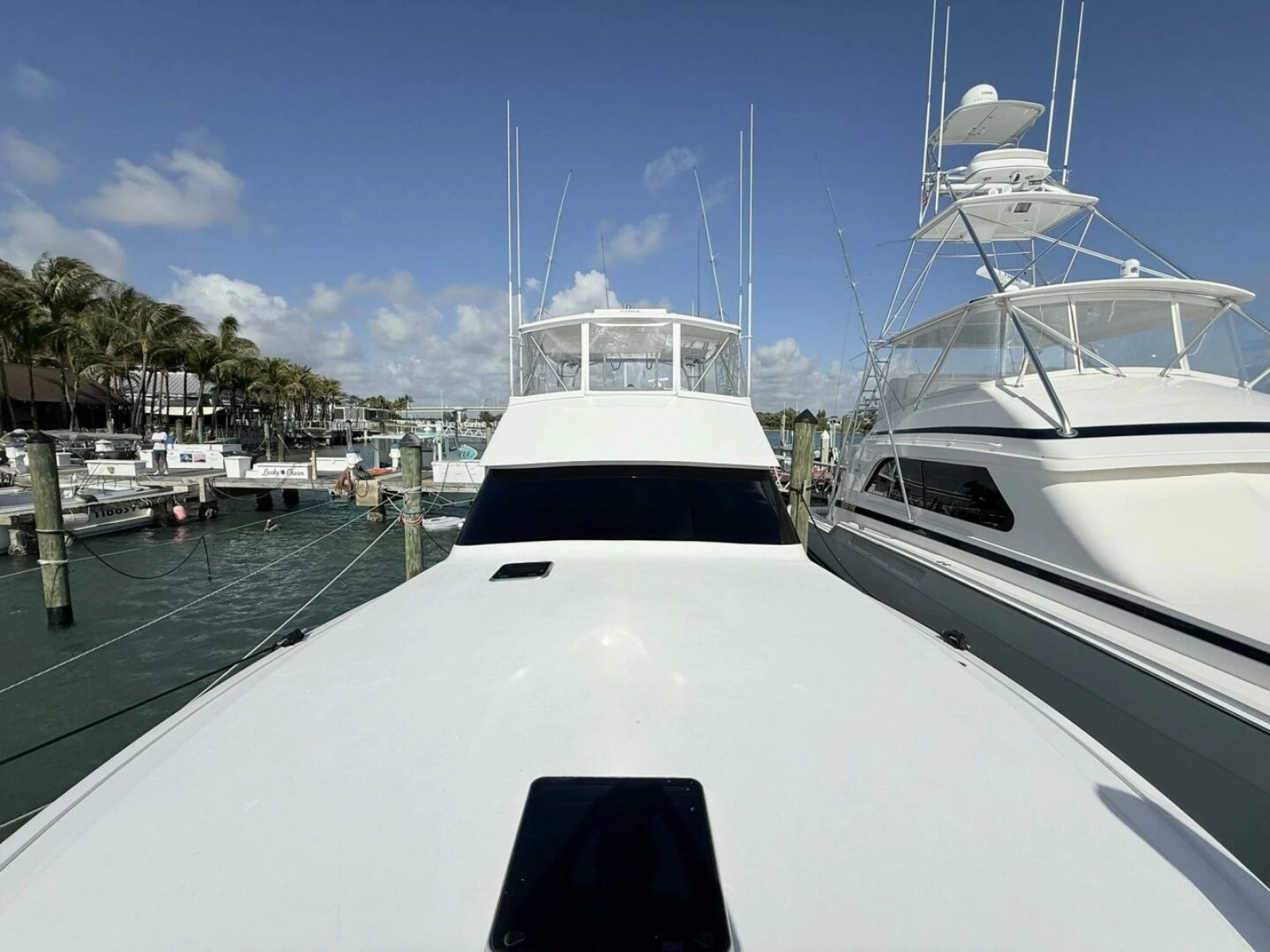Viking 50 REEL LEGACY - Bow