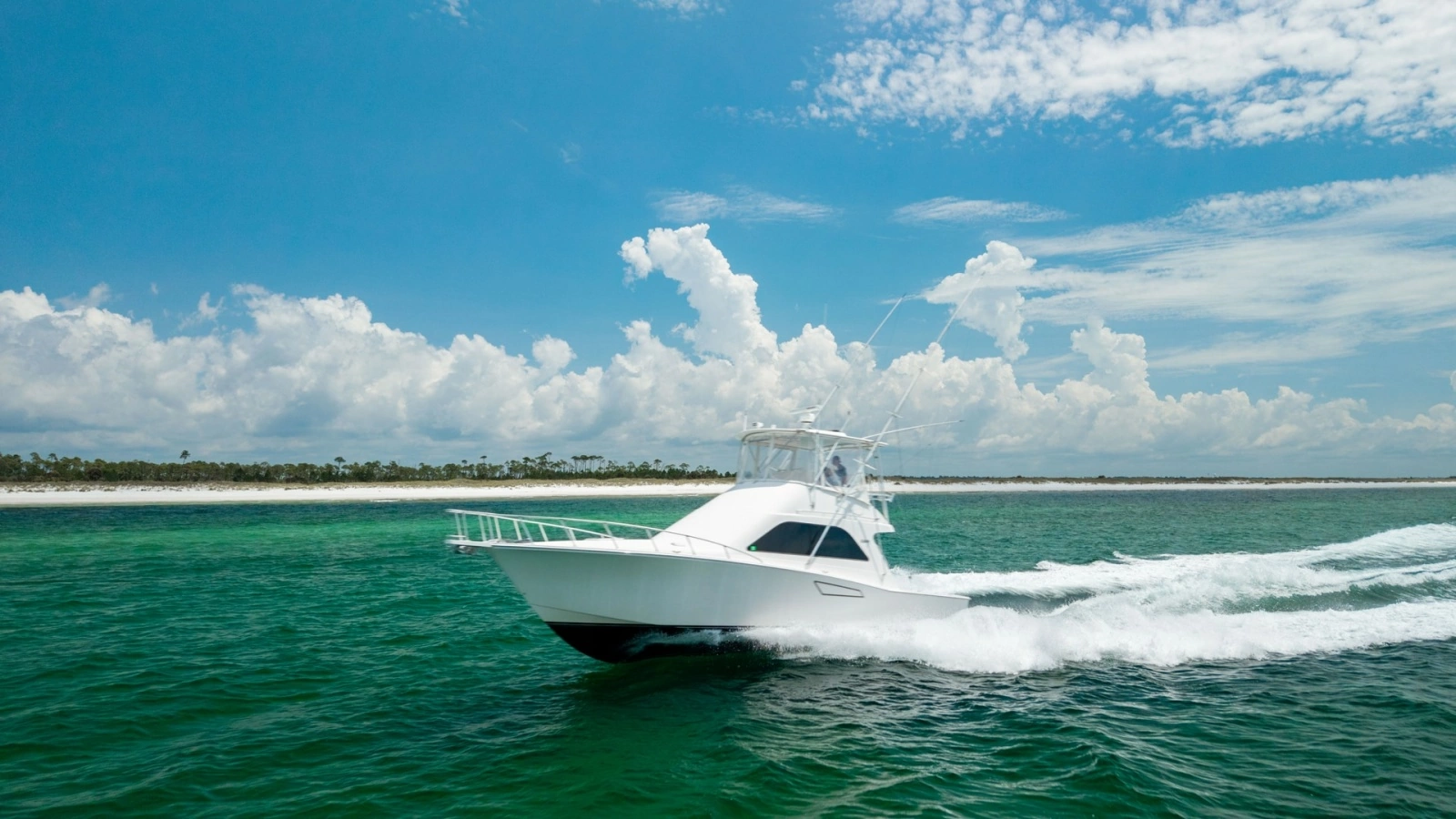 Side View Cruising at Sea