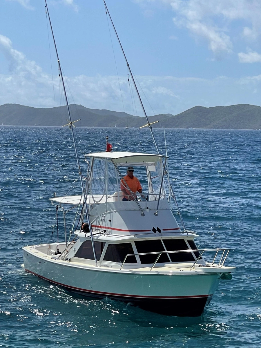 1964 Bertram 31 Sportfisher