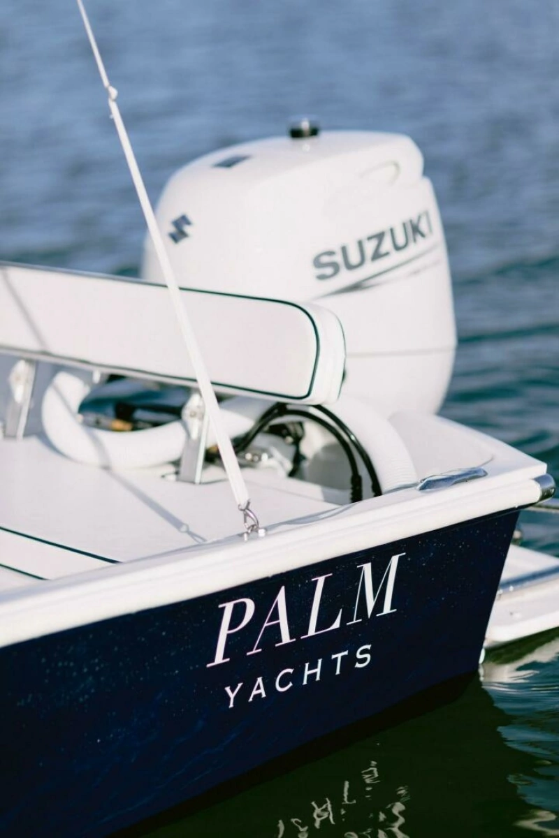 Palm Yachts 17 - Cockpit with Engine