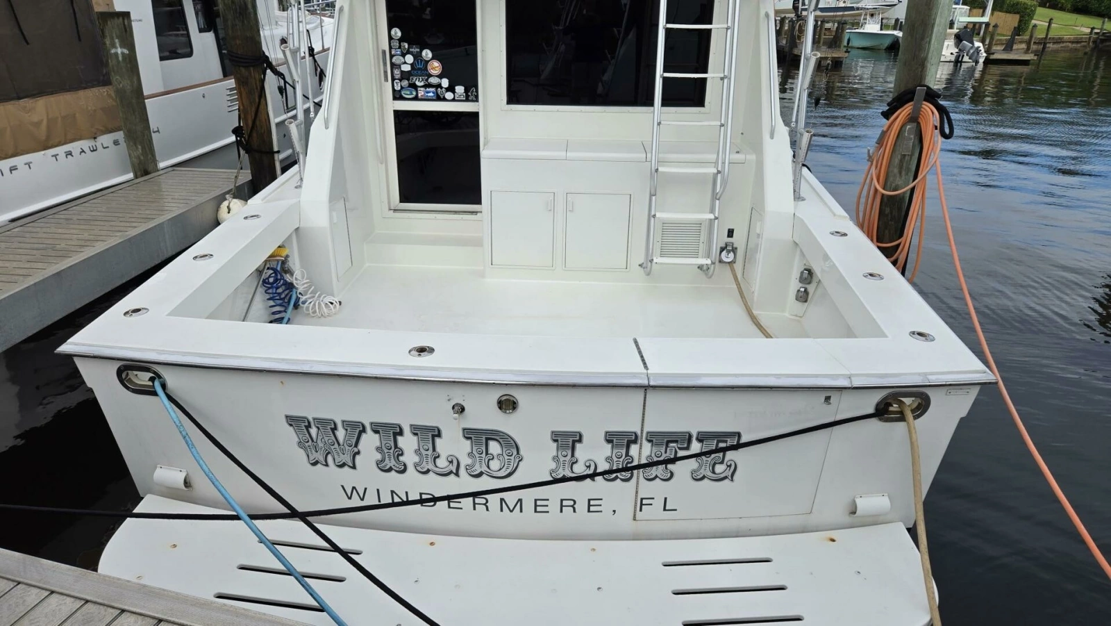 Viking 45 - Wild Life