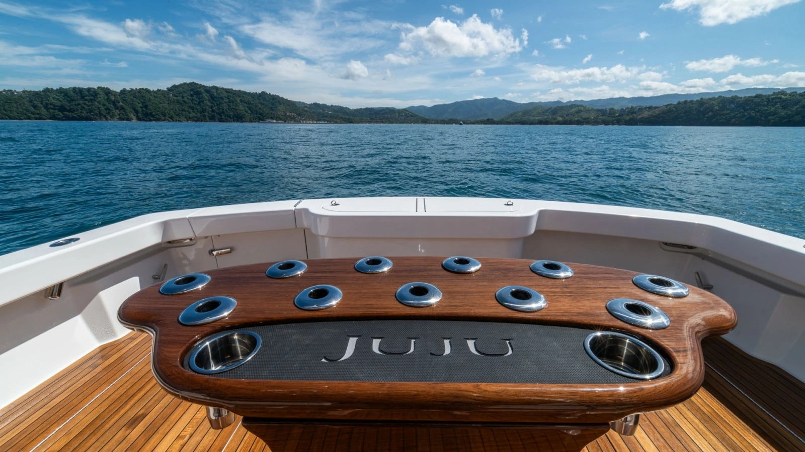 Aft Deck with Custom Fishing Station