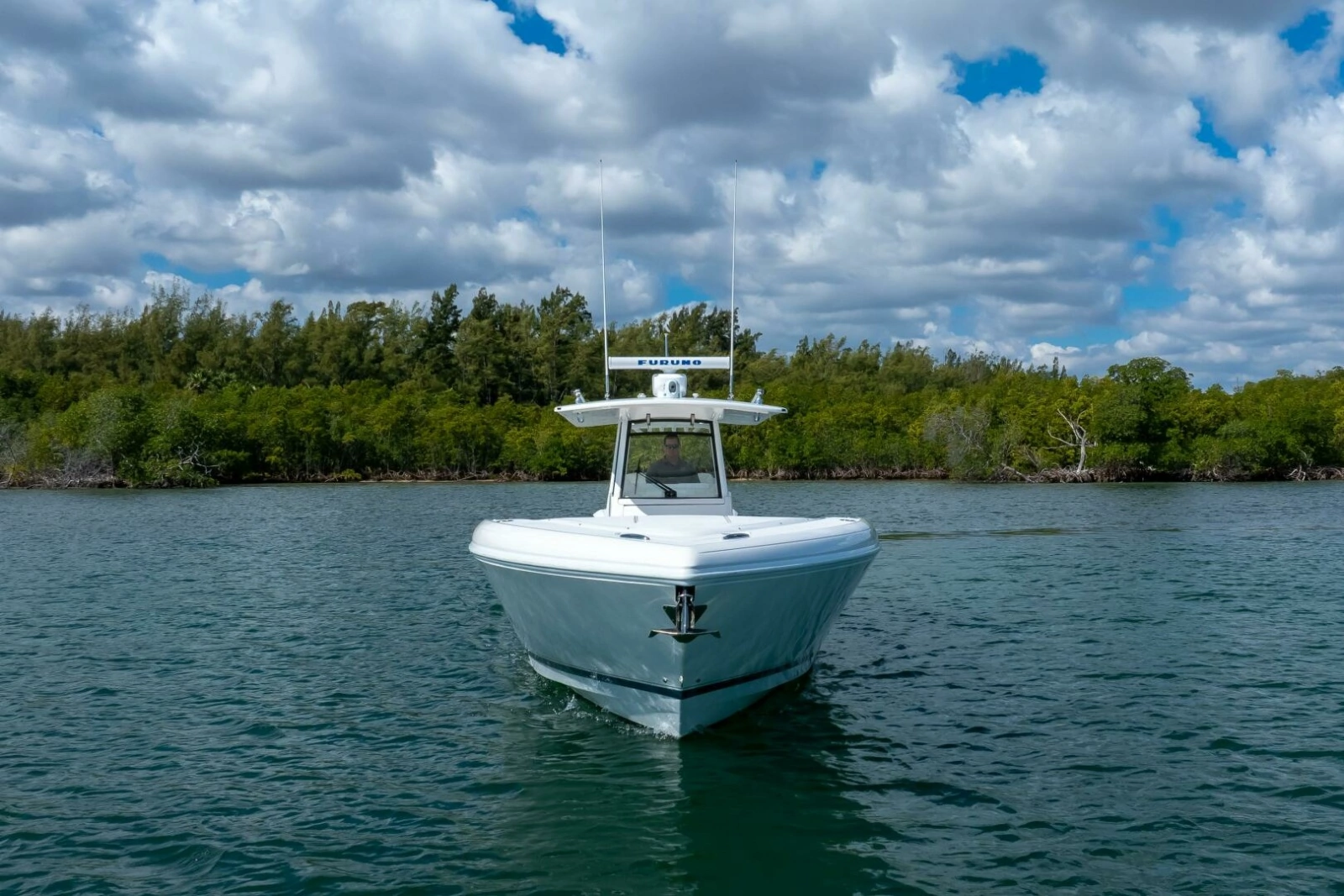 Intrepid 375 - Profile