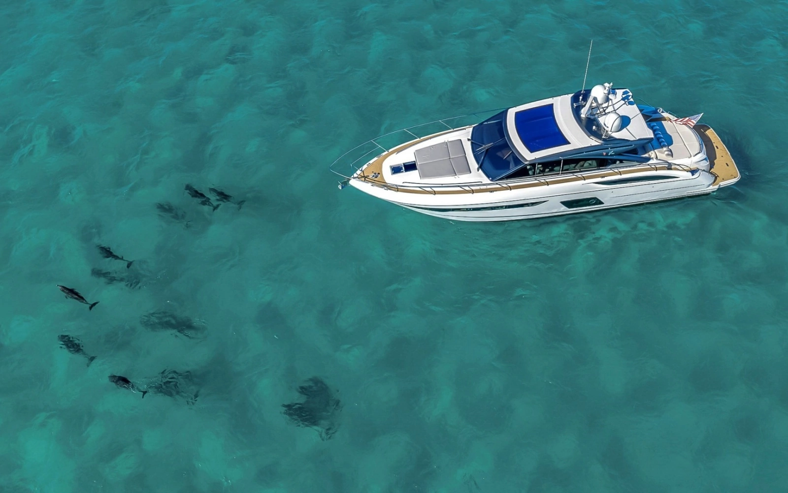 2016 Princess V58-HAPPY HOUR- 