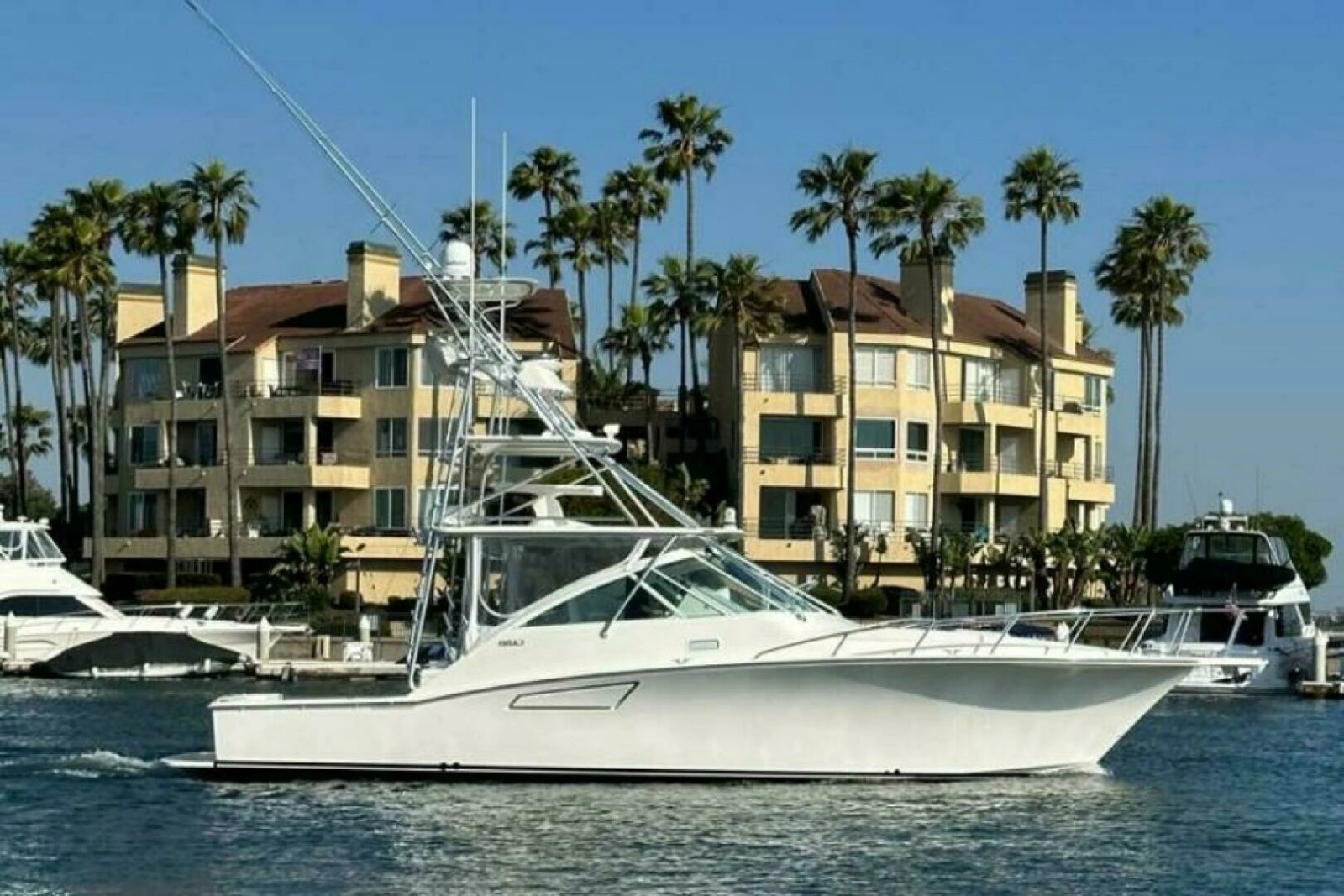 2006 Cabo 40 Express - BUZZ CATCHER
