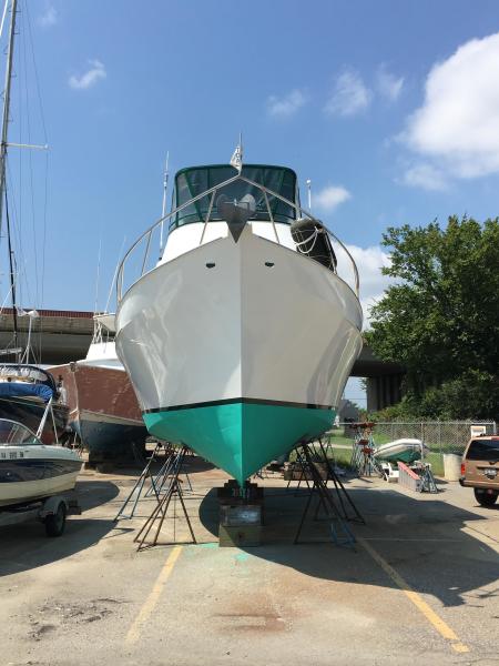 Yard bow view 2017