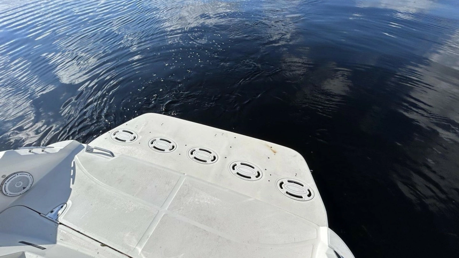 2009 Sea Ray 310 Sundancer  Andrews Place Head Swim Platform