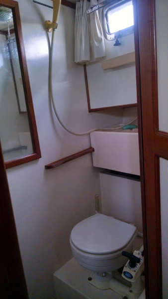 225 Guest Head.jpg