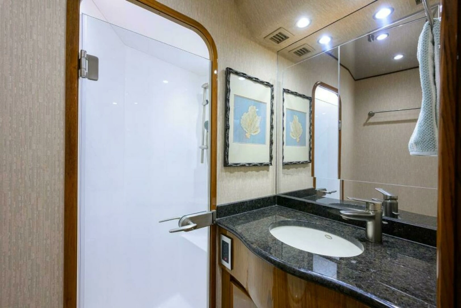 Viking 82 BLU FROG - Starboard Guest Head