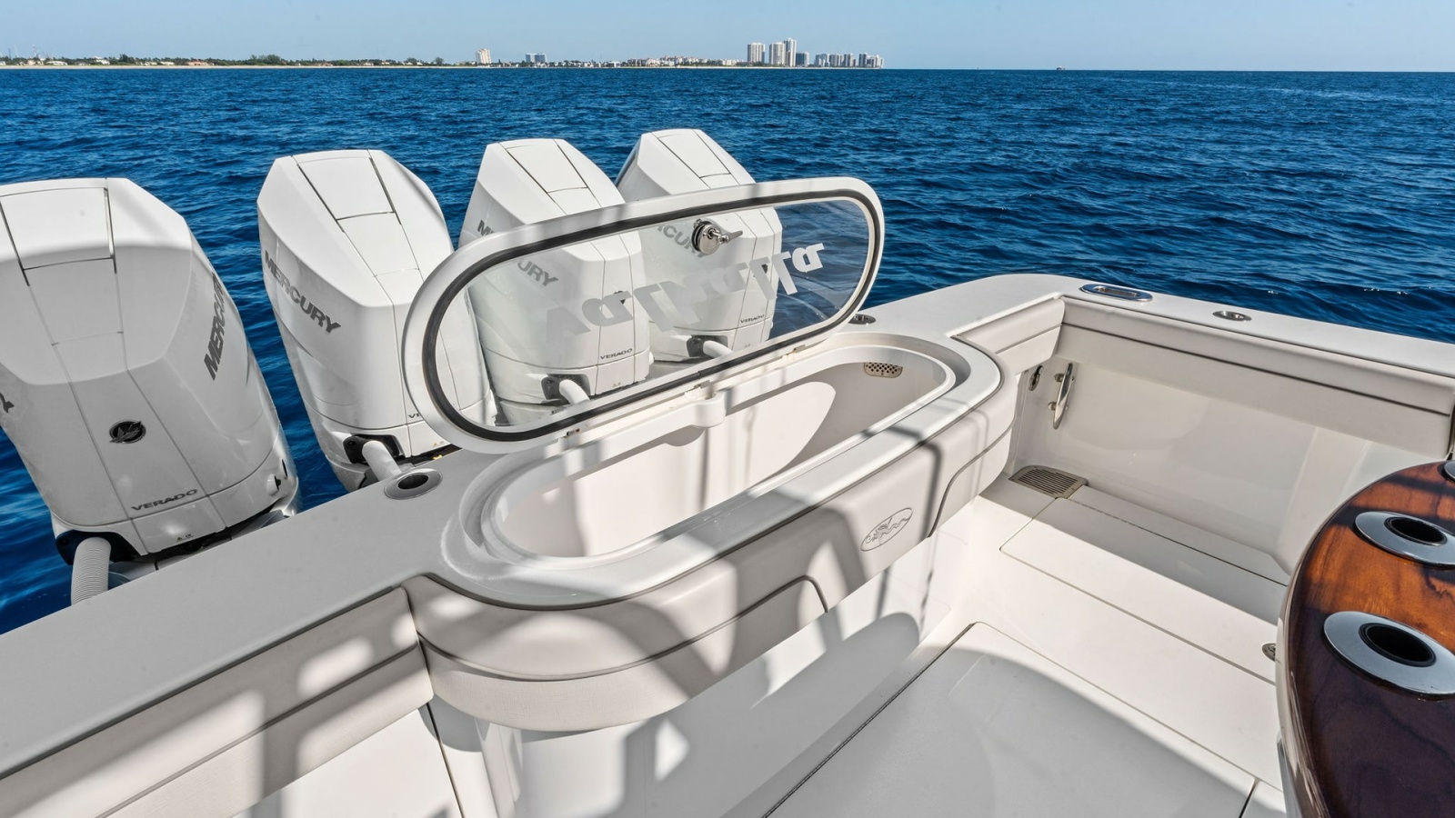 Aft Deck with Livewell and Engines