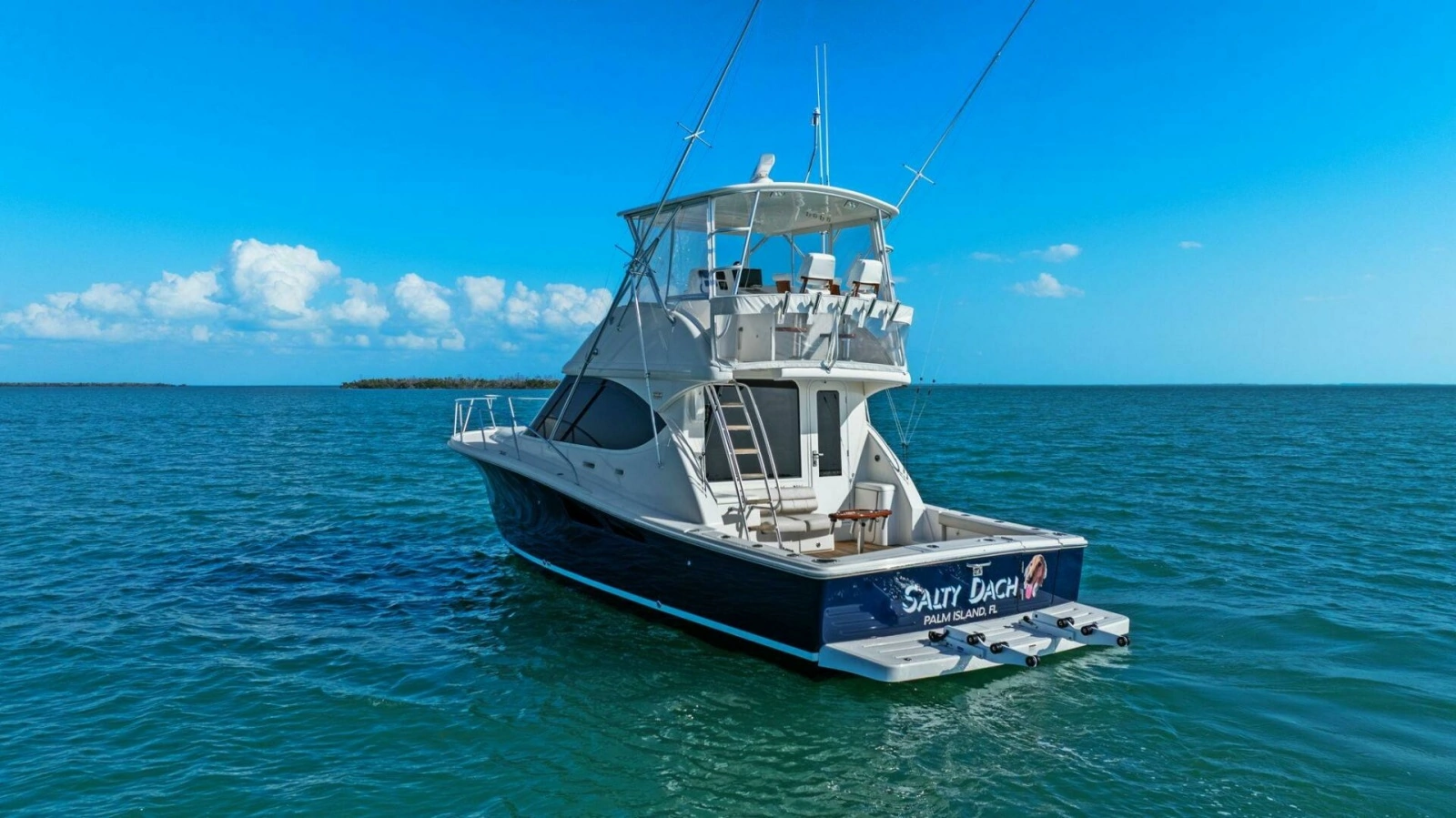 2013 Tiara Yachts 3900 Convertible - Profile 