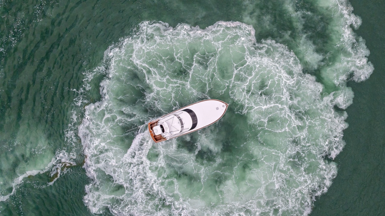 Aerial View of Rosita in Motion