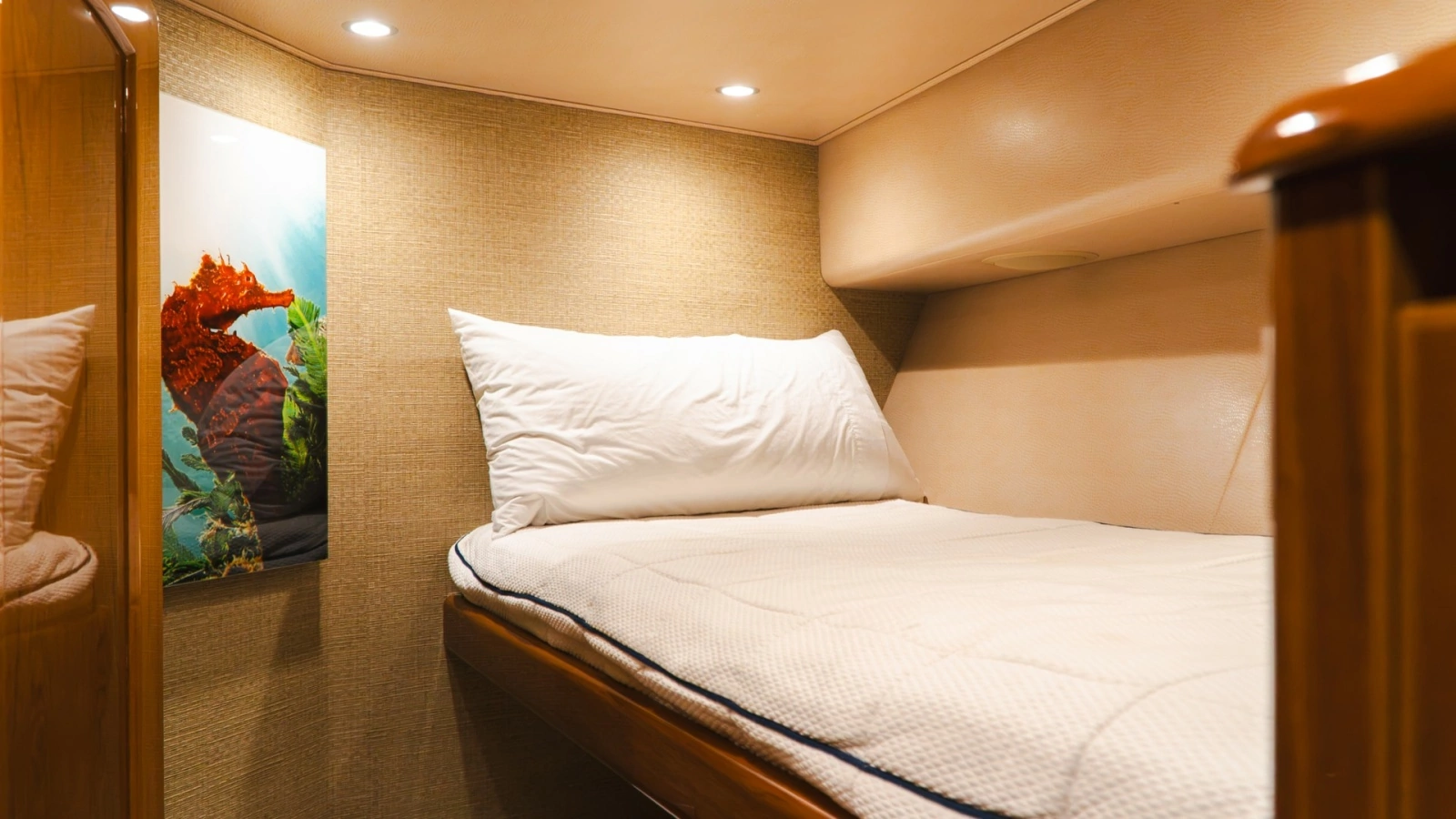 Cozy Guest Stateroom with Art