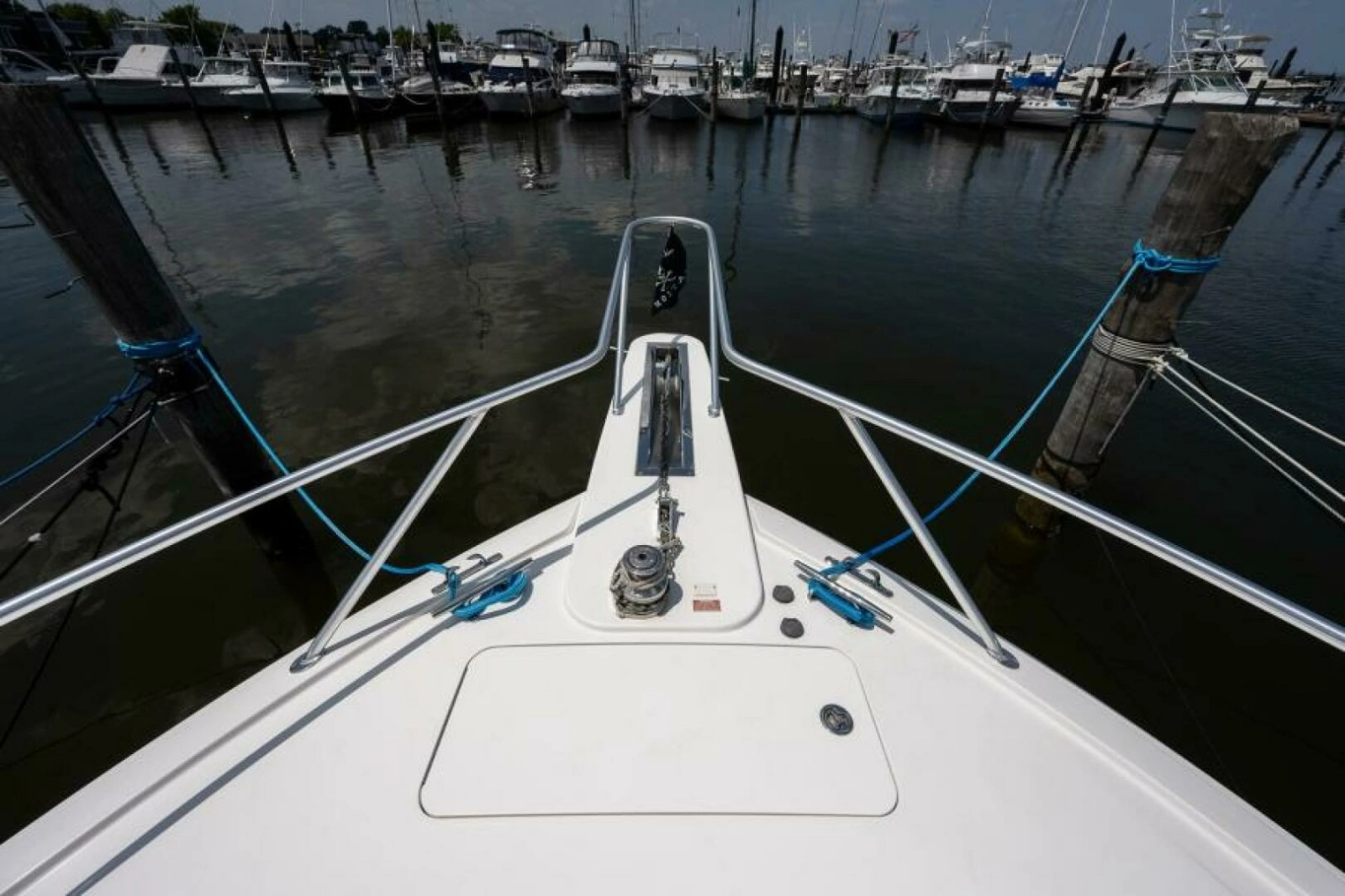 Viking 42 - Drop'Em  - Bow