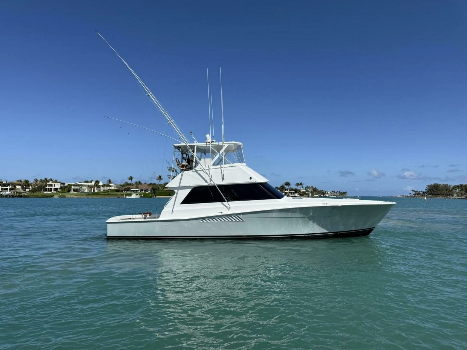 Viking 50 REEL LEGACY - Starboard Profile