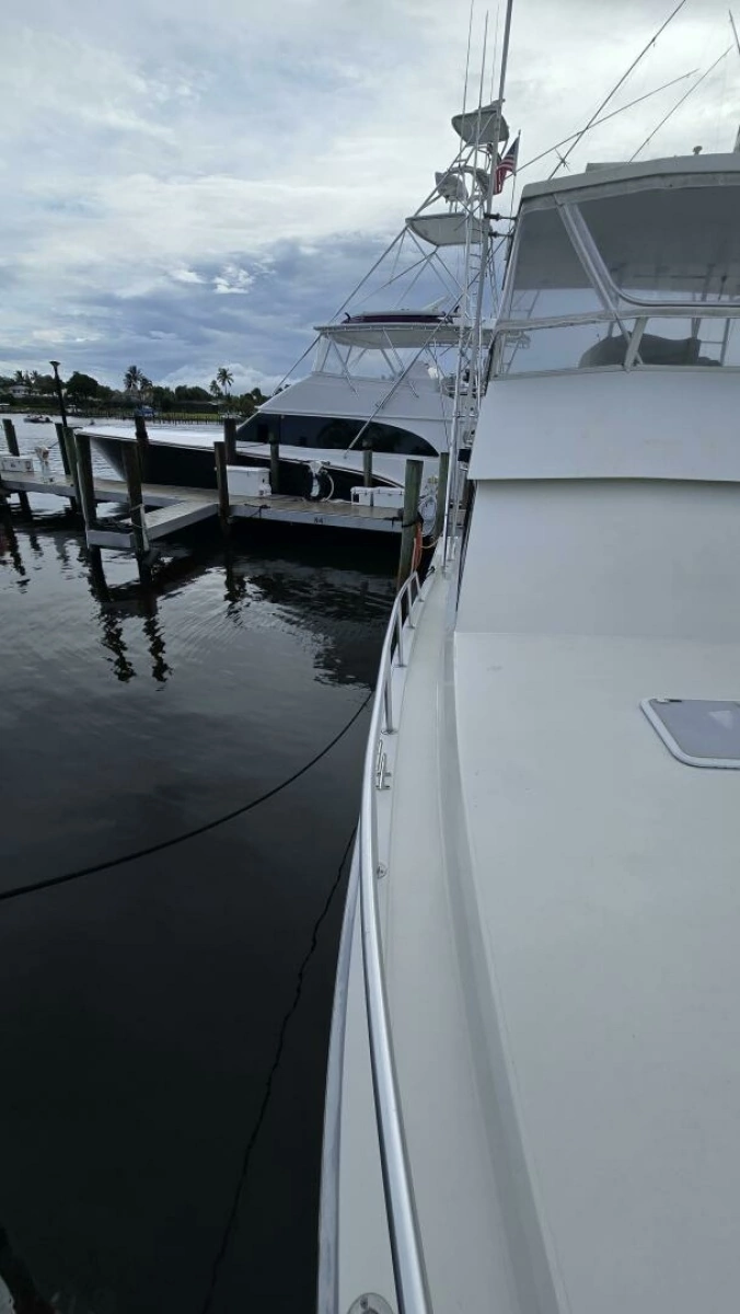Viking 45 - Wild Life