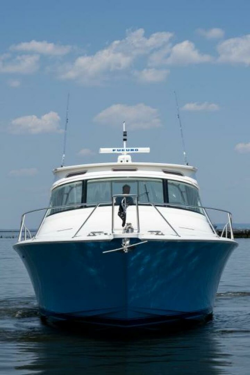 Viking 42 - Drop'Em - Profile