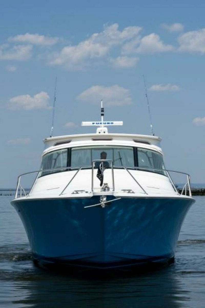 Viking 42 - Drop'Em - Profile