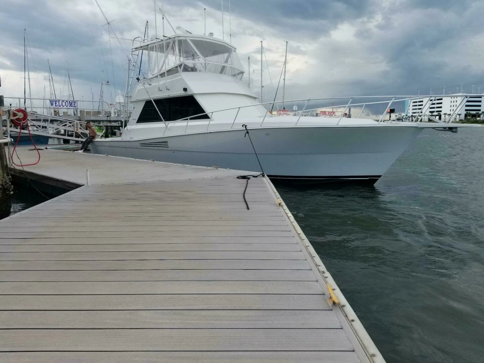 Viking 45 - Wild Life