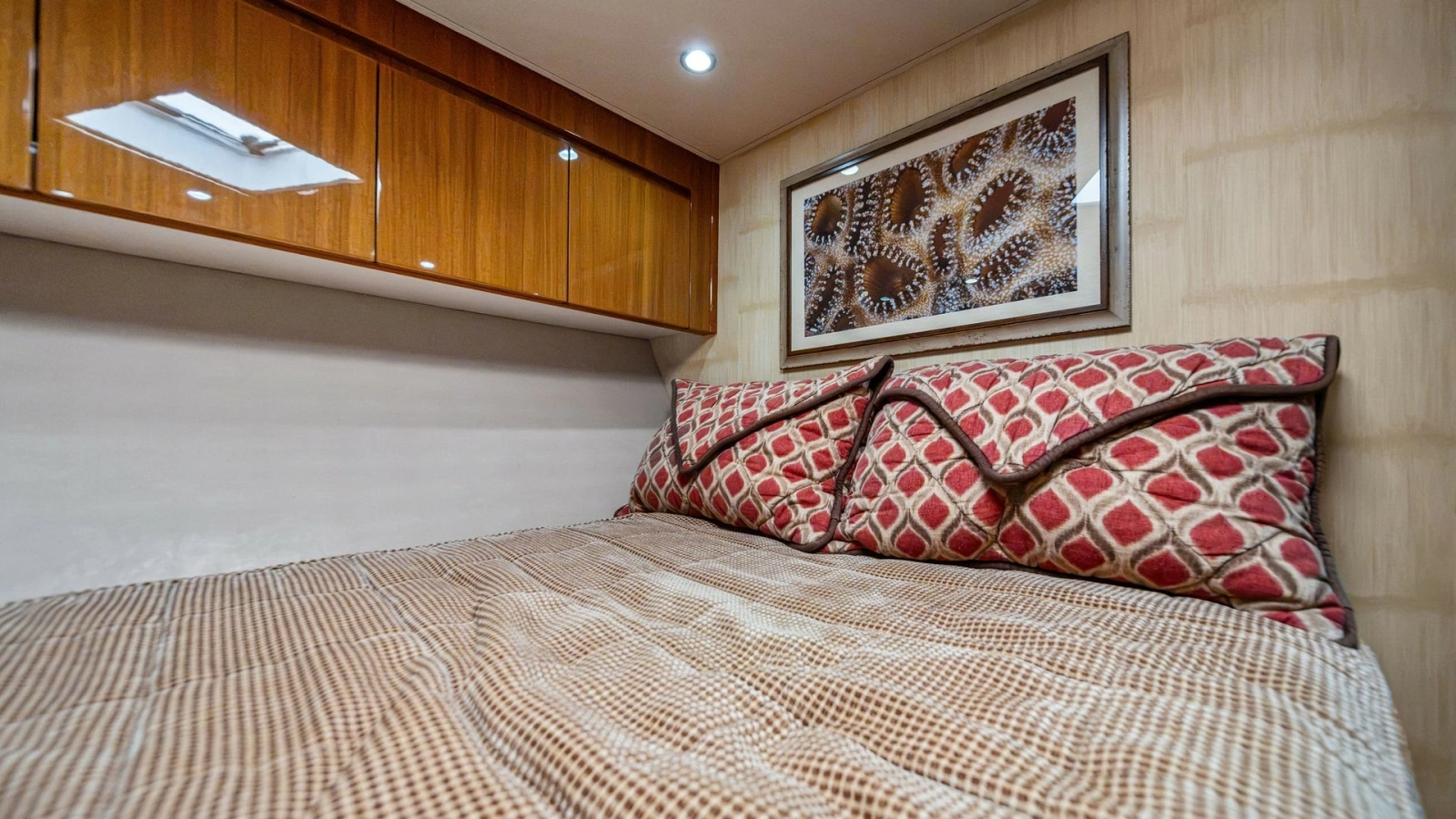 Cozy Guest Stateroom