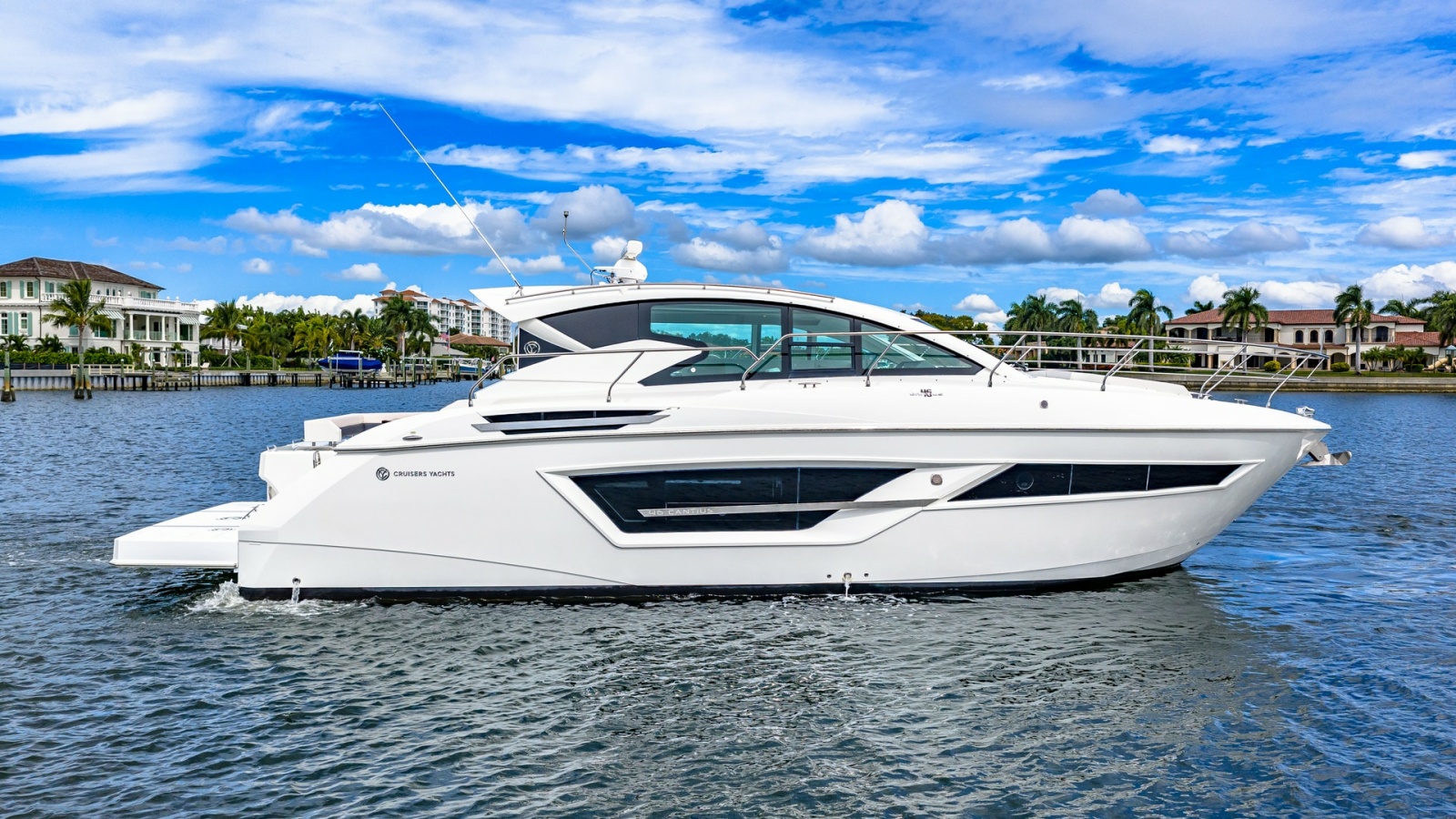 Profile View of Cantius 46