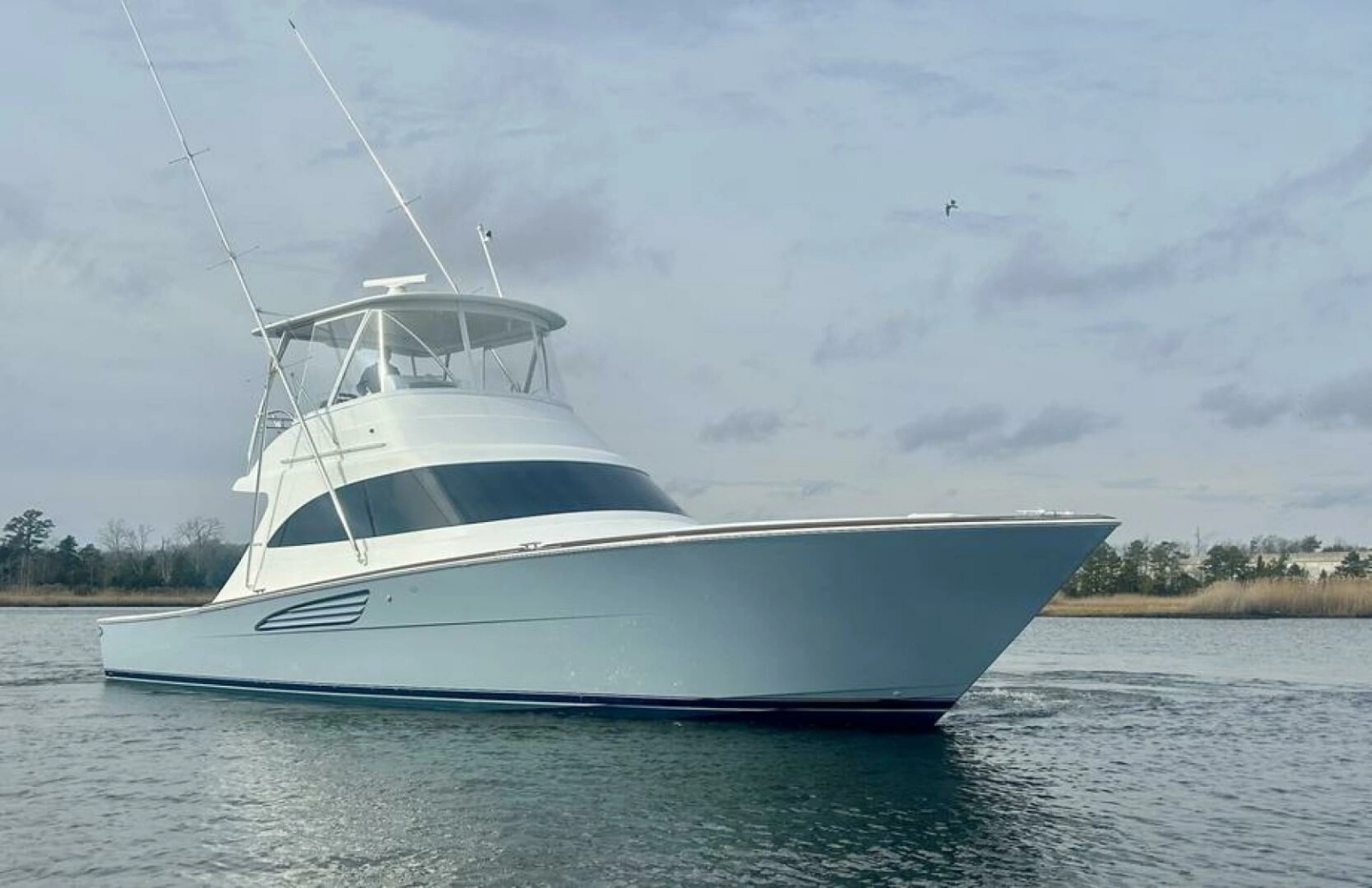 Viking 50 Billfish (1)