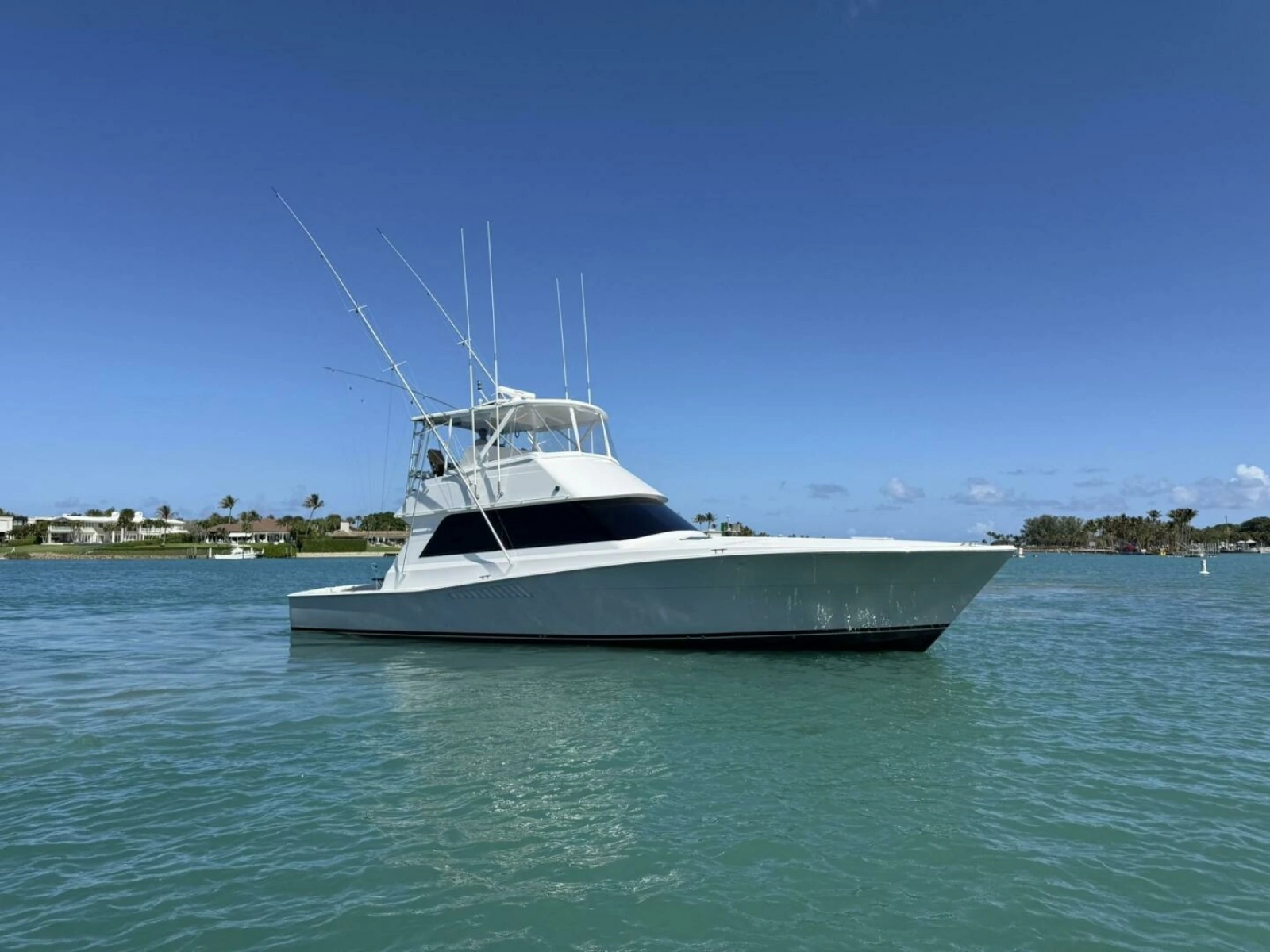 Viking 50 REEL LEGACY - Starboard Profile