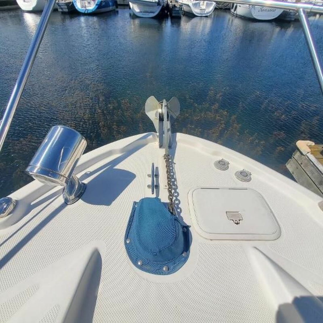 2008 Bayliner 320 Express Cruiser 32